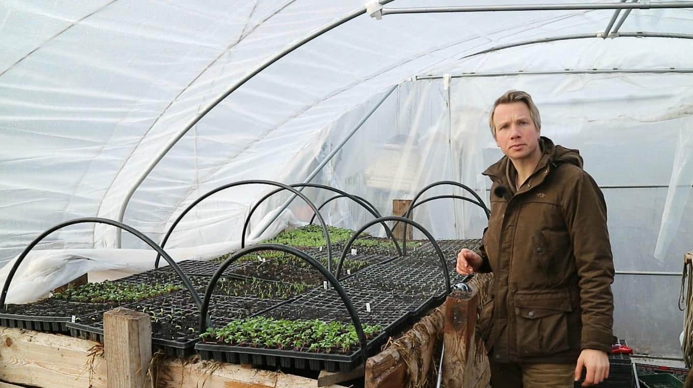 Mistbeetheizung: Jungpflanzen im Frühjahr vorziehen, mit genügend Licht und Wärme